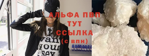 индика Абаза