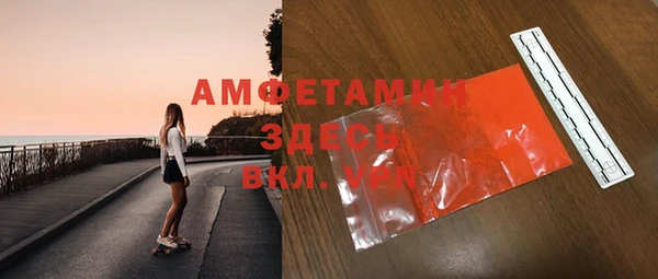 индика Абаза