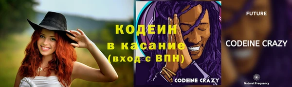 индика Абаза