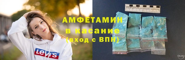 индика Абаза