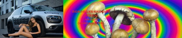 индика Абаза