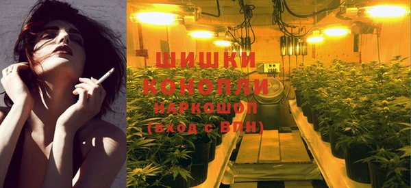 индика Абаза
