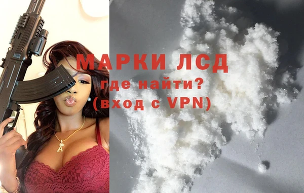 индика Абаза