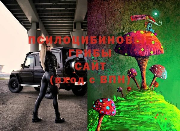гашик Абинск