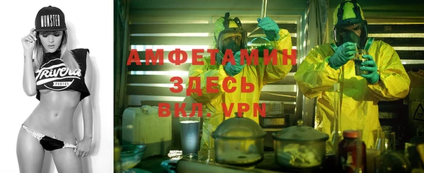 прущие грибы Покачи