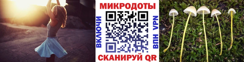 наркошоп ссылка на мегу маркетплейс Галлюциногенные грибы Psilocybe даркнет наркотические препараты Гусиноозёрск